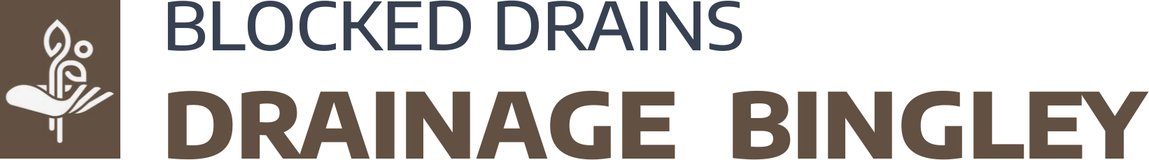 website logo